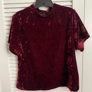 Forever21+ velvet crop